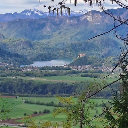 Bella Apartment Zirovnica Bagian luar foto